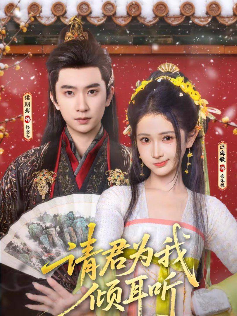 《请君为我倾耳听》影片海报