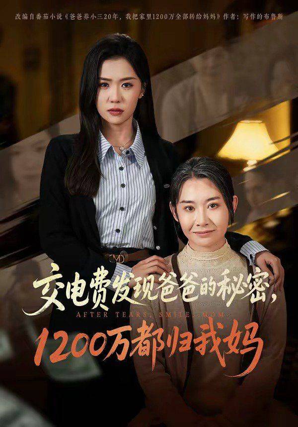 《交电费发现爸爸的秘密1200万都归我妈》影片海报