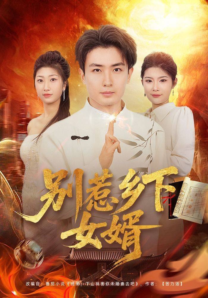 《别惹乡下女婿》影片海报