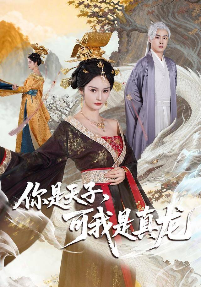 《你是天子，可我是真龙》影片海报