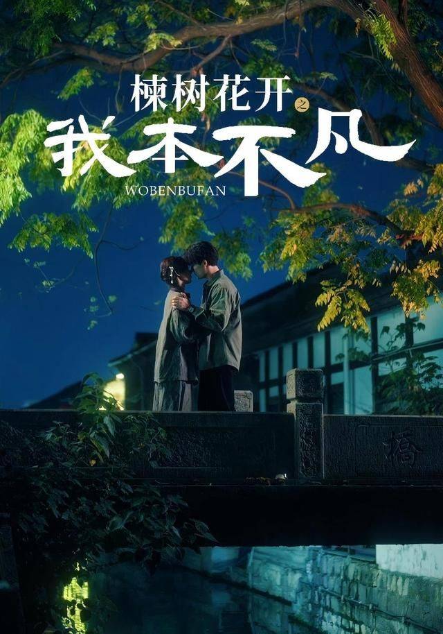 《楝树花开之我本不凡》影片海报