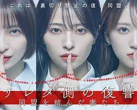 《被出轨方的复仇，结成同盟的妻子们》影片海报