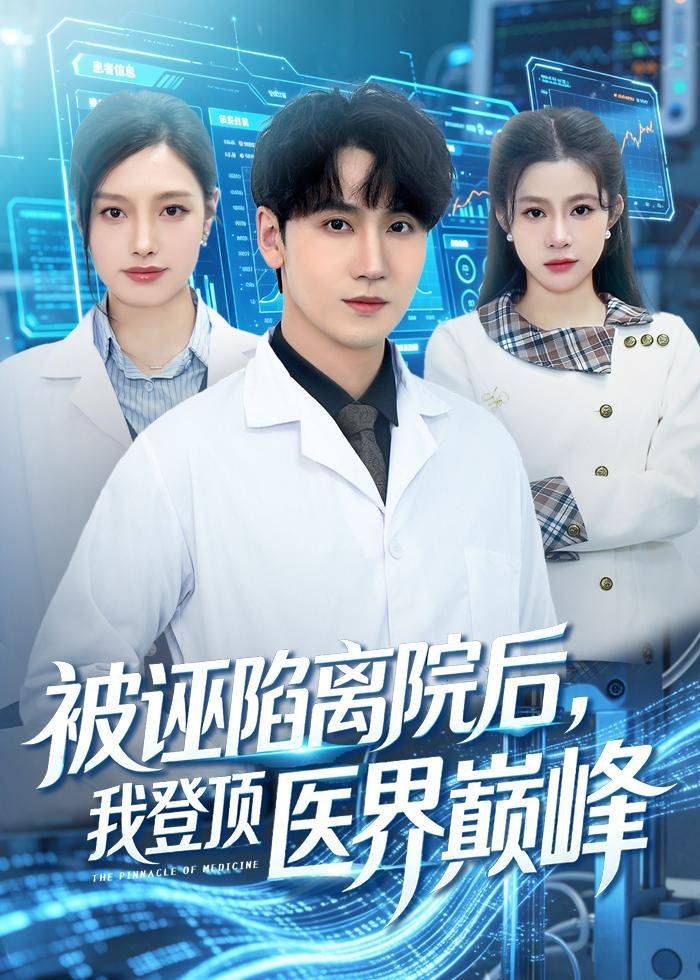 《被诬陷离院后，我登顶医界巅峰》影片海报