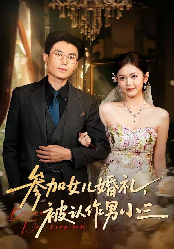 《参加女儿婚礼，被认作男小三》影片海报
