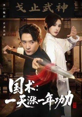 《国术，一天涨一年功力》影片海报