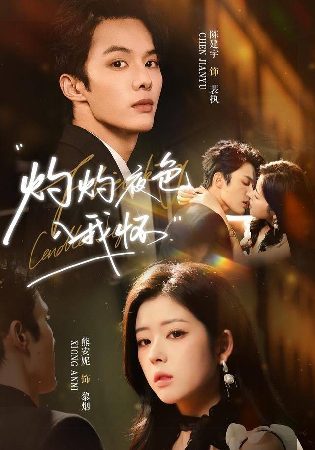 《灼灼夜色入我怀》影片海报