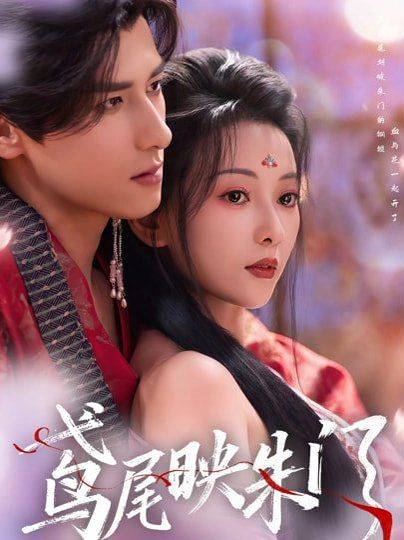 《鸢尾映朱门》影片海报