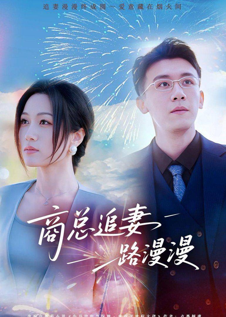 《商总追妻路漫漫》影片海报