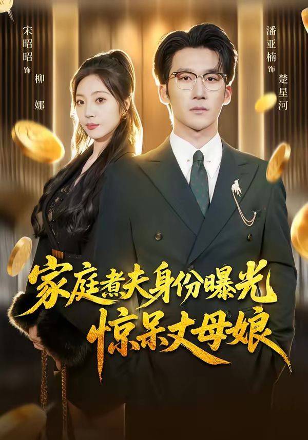 《家庭煮夫身份曝光惊呆丈母娘》影片海报