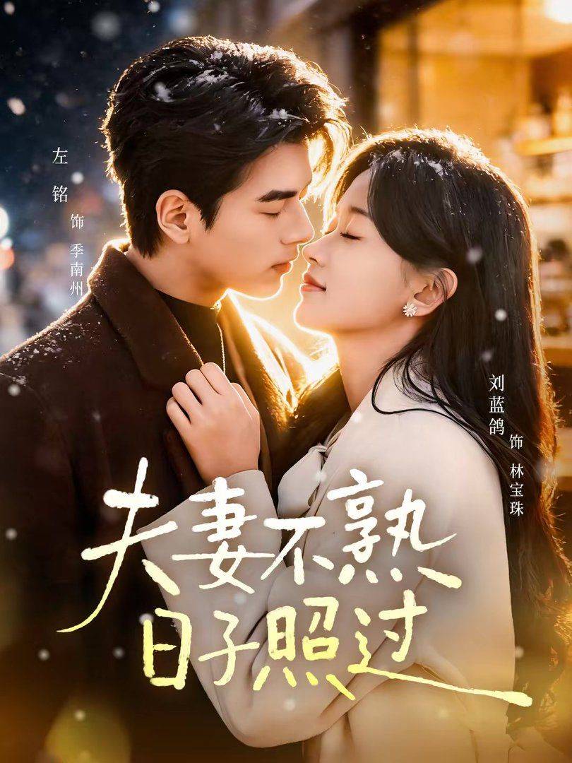 《夫妻不熟，日子照过》影片海报