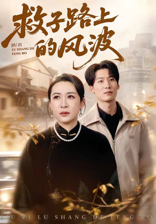 《救子路上的风波》影片海报