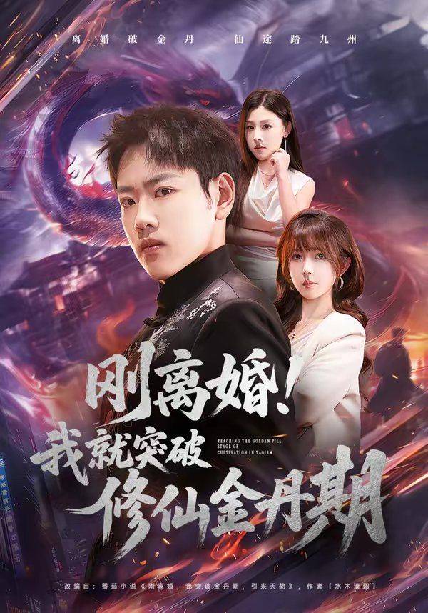 《刚离婚！我就突破修仙金丹期》影片海报