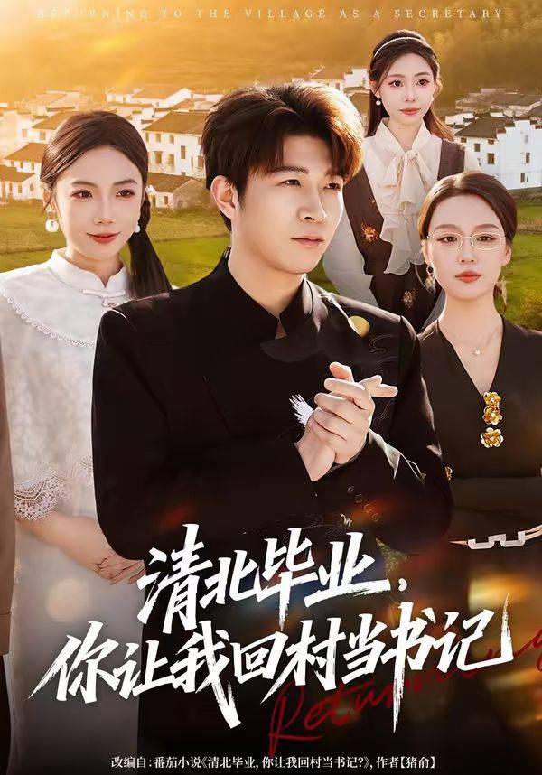 《清北毕业，你让我回村当书记》影片海报