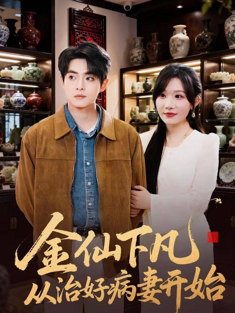 《金仙下凡从治好病妻开始》影片海报