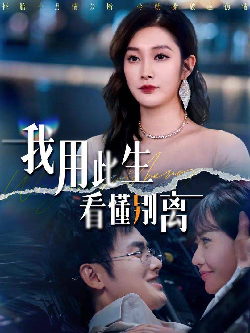 《我用此生看懂别离》影片海报