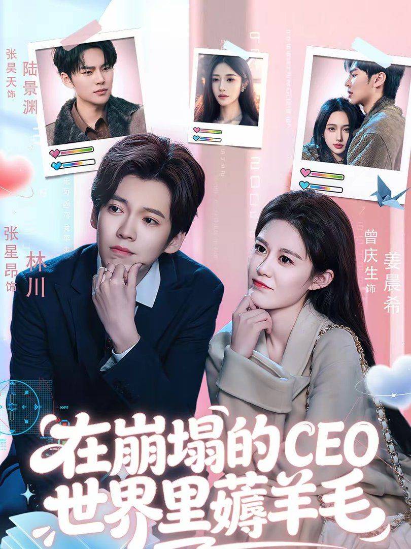 《在崩塌的CEO世界里薅羊毛》影片海报