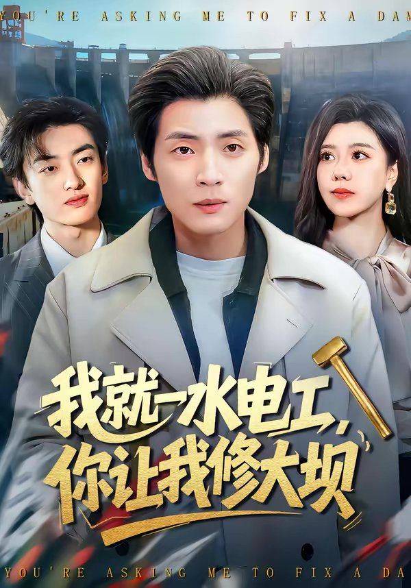 《我就一水电工，你让我修大坝》影片海报