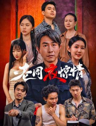 《老周夜惊情》影片海报