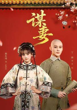 《谋妻》影片海报